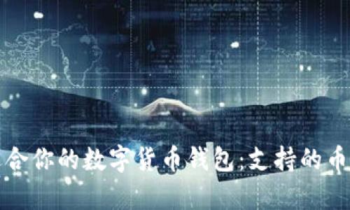 如何选择最适合你的数字货币钱包：支持的币种解析与推荐