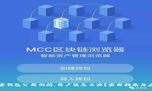 如果加密钱包公司倒闭，用户该怎么办？实用指南与应对策略