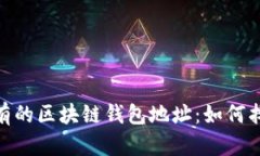 探索全球最富有的区块链钱包地址：如何找到财