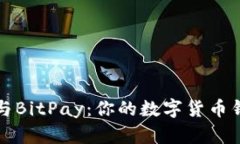 掌握imToken与BitPay：你的数字货币钱包与支付助手