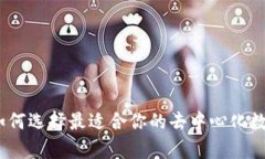 全面解析：如何选择最适合你的去中心化数字资