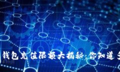 数字钱包充值限额大揭秘：你知道多少？