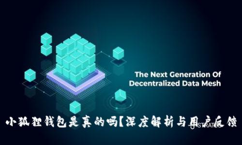小狐狸钱包是真的吗？深度解析与用户反馈