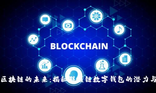 探索区块链的未来：揭秘联盟链数字钱包的潜力与应用