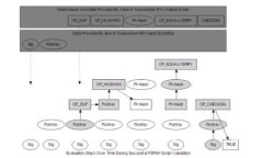 imToken钱包支持哪些数字货币？全面解析！