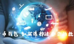 深入探索数字货币钱包：如何选择适合你的数字